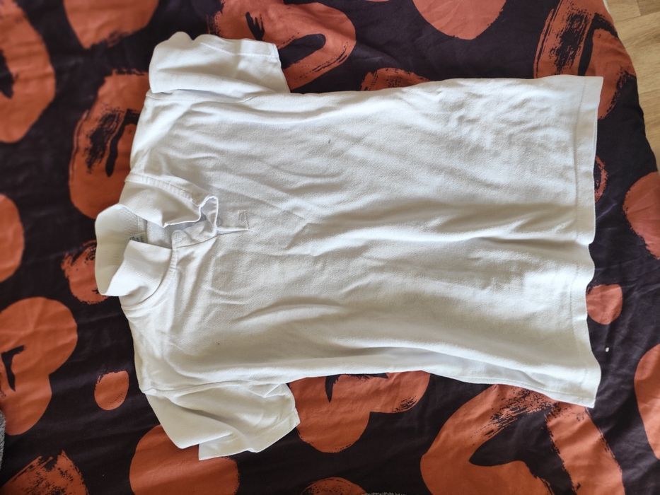 Бесплатно отдам срочно