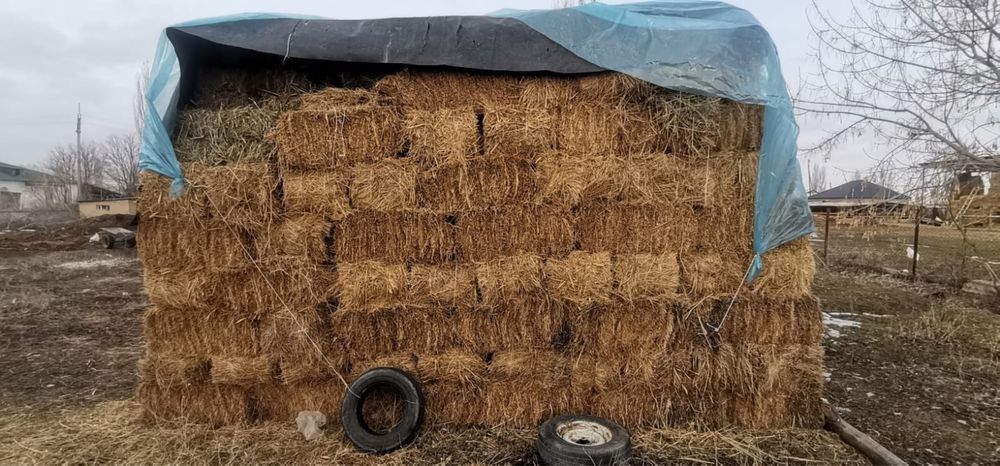 Жонашка шөп тараз