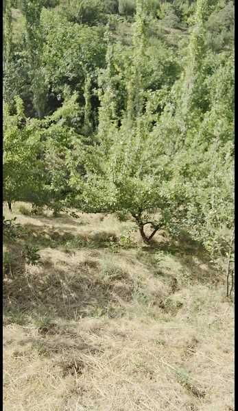 Продаётся 2 участка в Кумушкане.