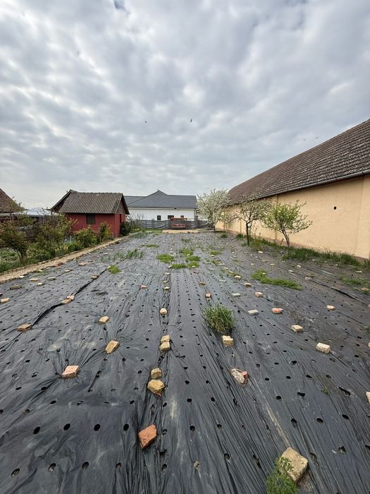 Vând teren intravilan