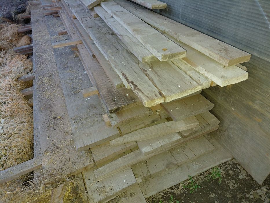 Scandura pentru cofrat astereala