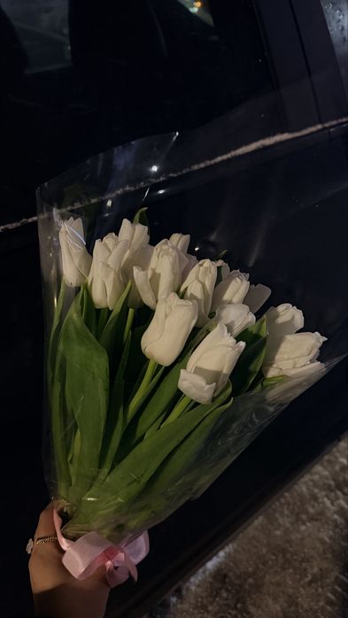 Астана 25 шт тюльпан