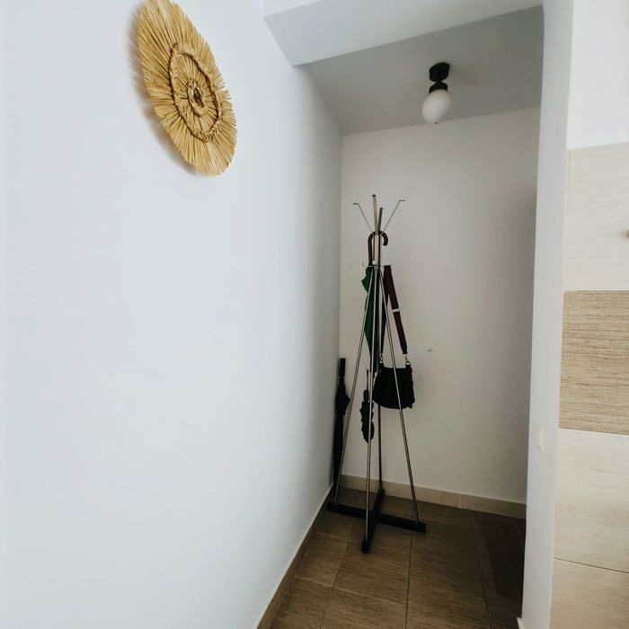 Apartament 1 camera str. Frunzisului
