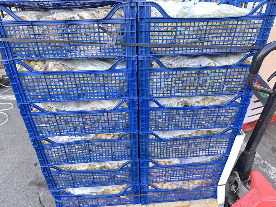 Lazi ladite pentru fructe de la prima utilizare