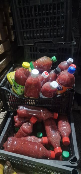 Продам домашнюю кобру.