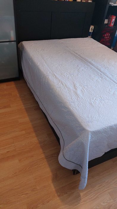 Pet sitter/cazare la domiciliul meu, bonă pentru pisici