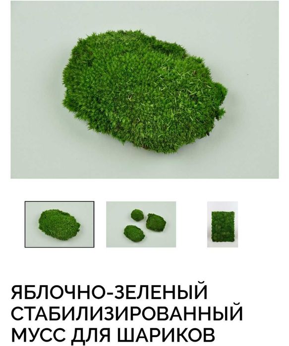 Стабилизированный природный мох доставка под заказ