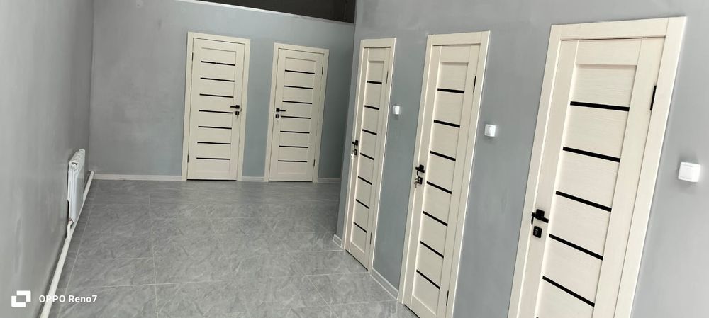 Аренда спротзала