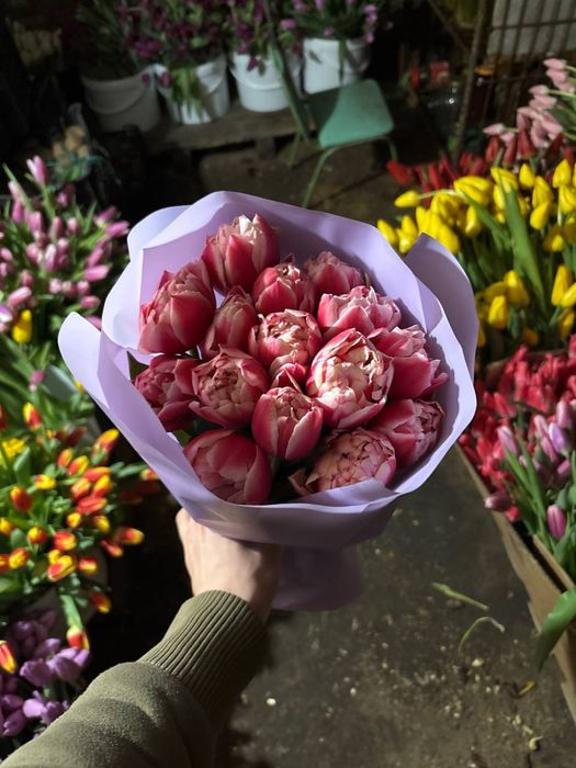 Тюльпаны Петропавловск