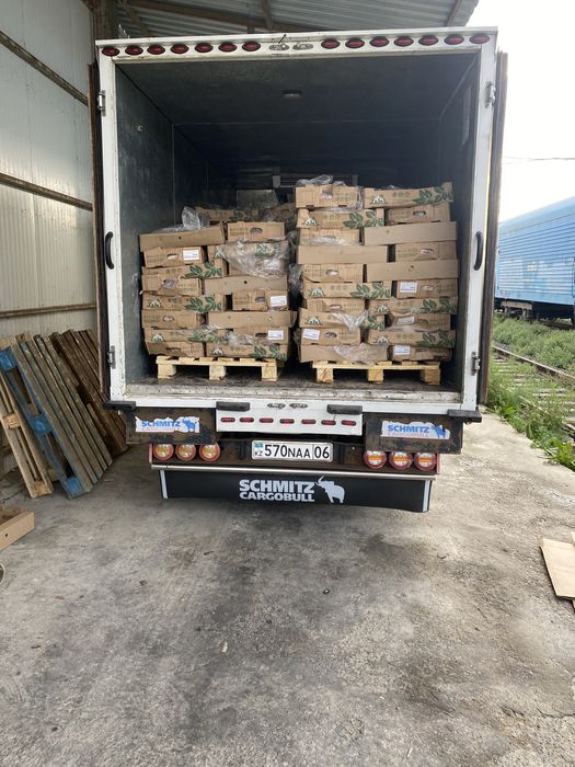 Услуги газель рефрижератора 5.20 25куб