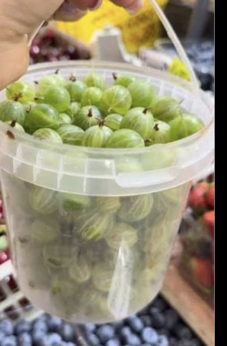 Продам крыжовник