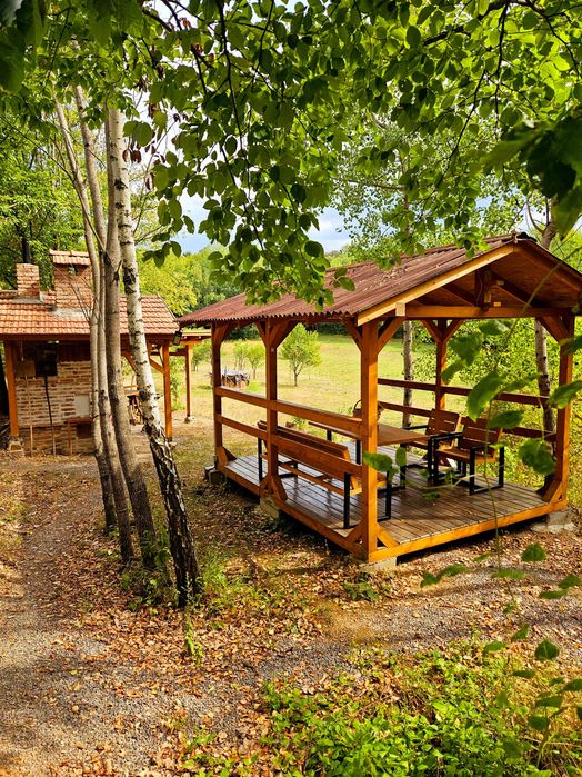 Poiană privată, pădure și cabană | Proprietate cu potențial turistic