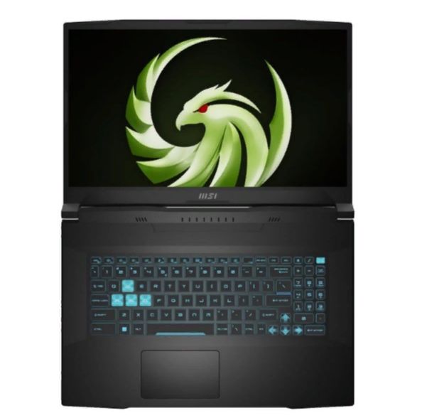 MSI Bravo 17 RTX4060 laptop