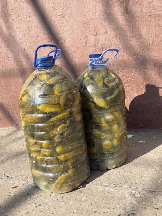 Огурцы соленые .