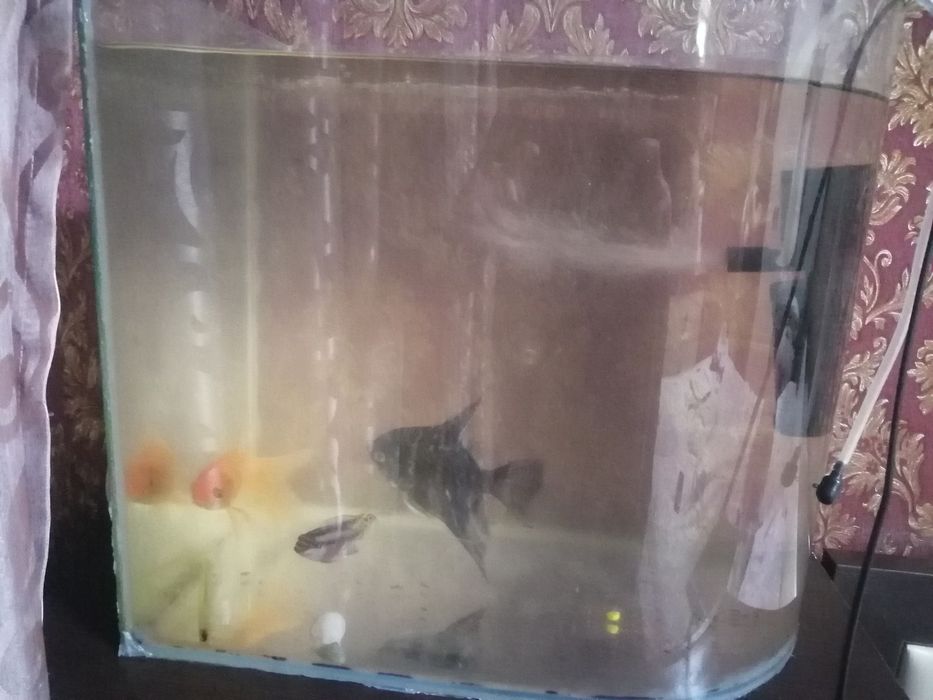Продам 2 аквариума