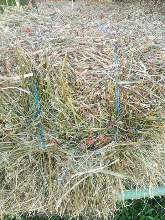 Baloți de fân și paie