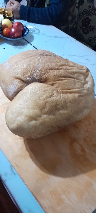 Тулух пейнир домашний