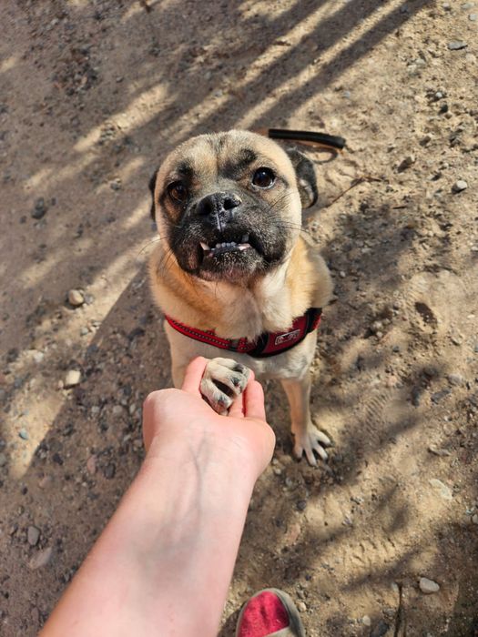 Метис Джек ищет семью!