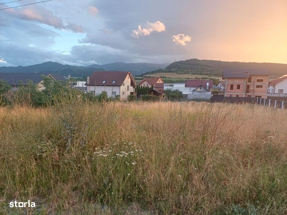 Teren intravilan pentru casa in Talmaciu