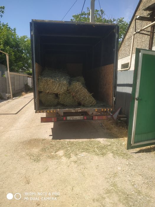 Газель  усиленный