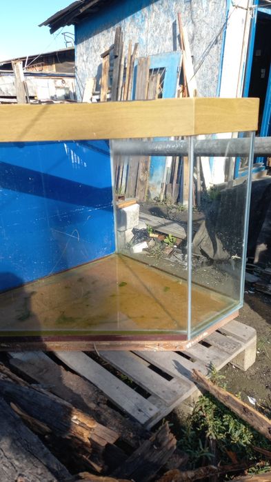 Аквариум тонна вместе с камушками