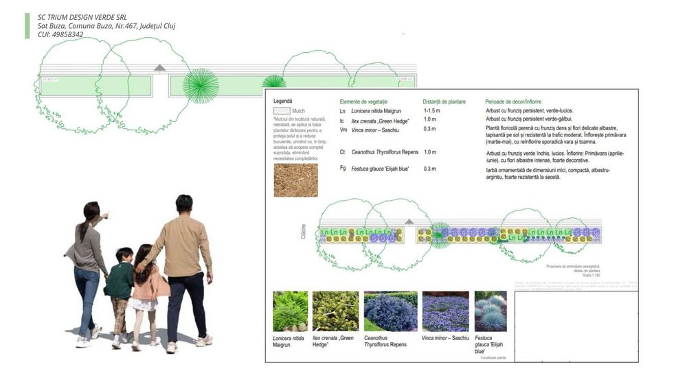 Amenajari gradini, Proiectare 3D - echipă de ingineri peisagiști