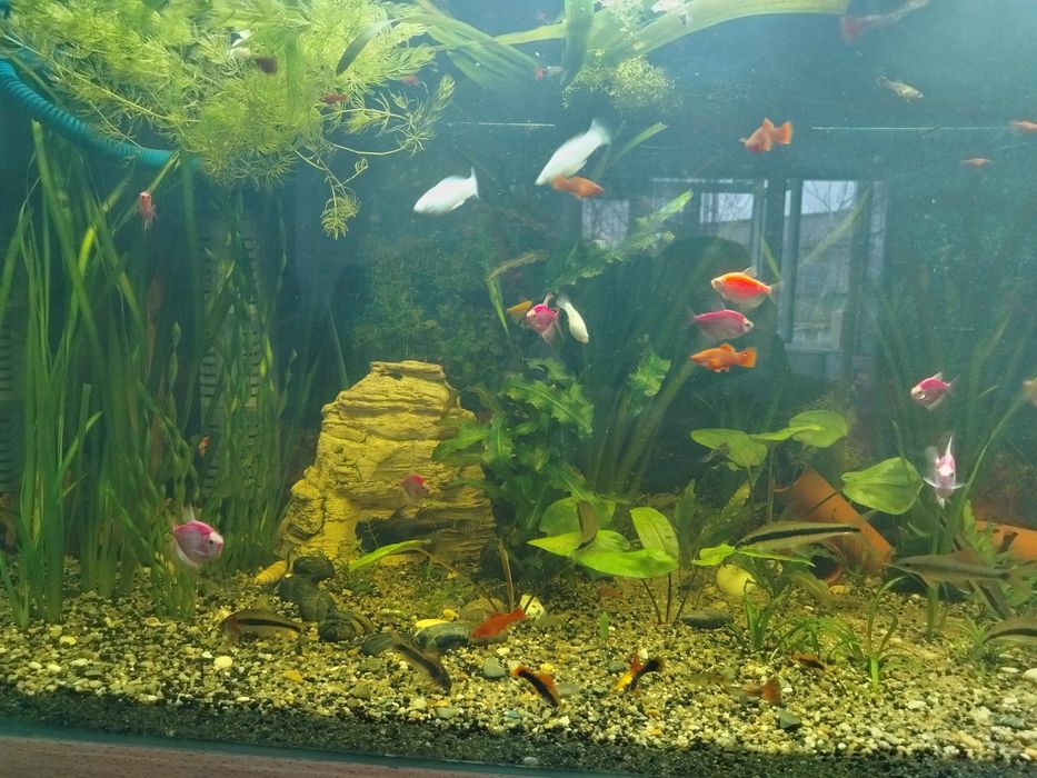 Продам аквариум Jebo 300л.