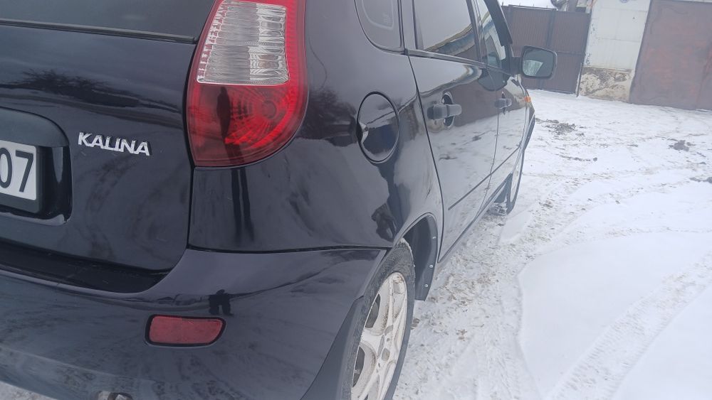 Калина в отличном состоянии