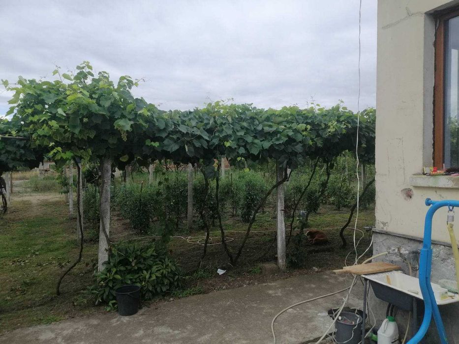 Къща в Индустриална зона, с.Руец