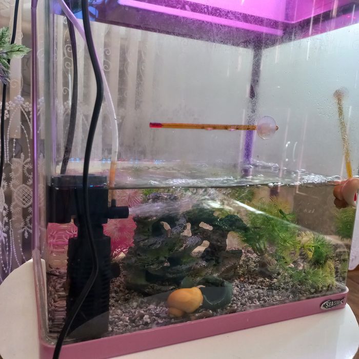 Продам аквариум и сачек.
