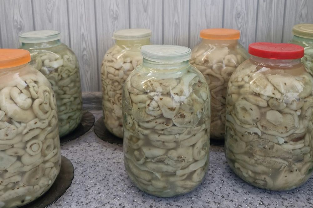 Продам грибы солёные. Грузди