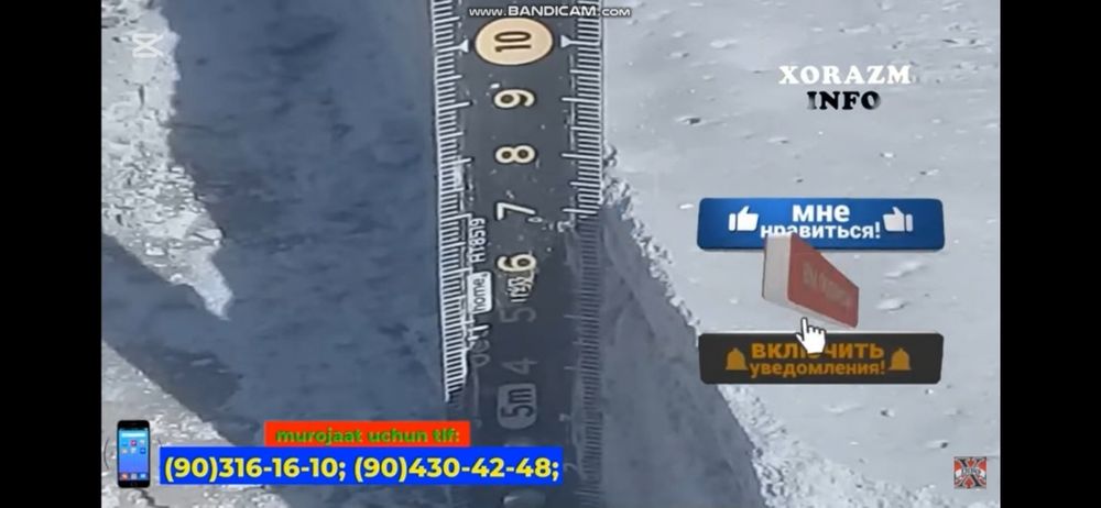 Peno lomboz, Tom quyish, Том Шувок Palesterol lomboz,