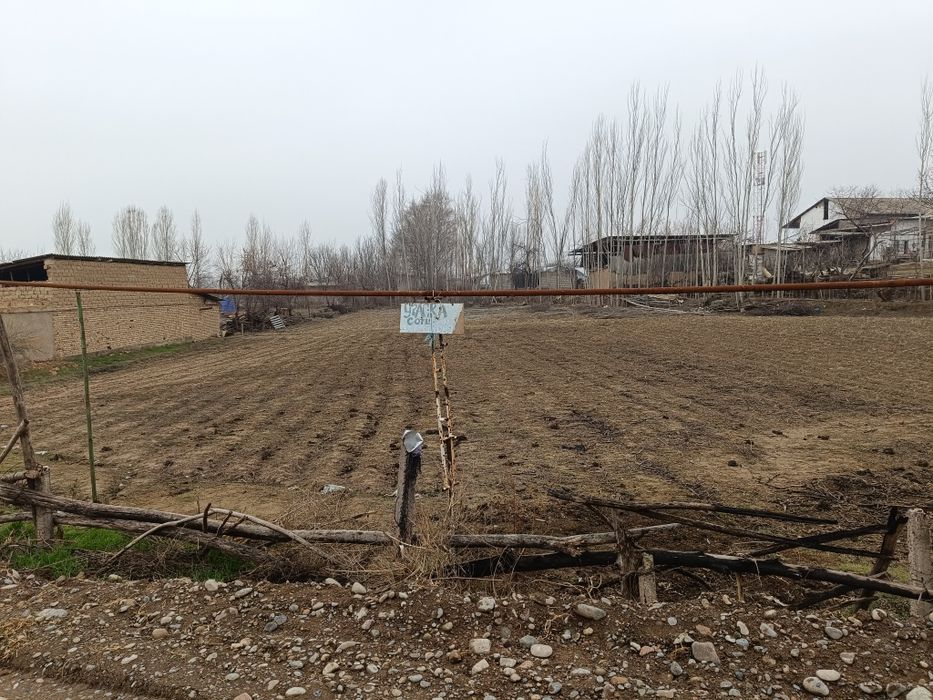 Участка 12 сотик