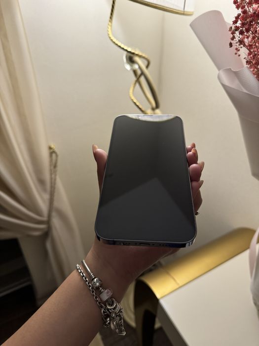 IPhone 13 Pro Max 256 GB