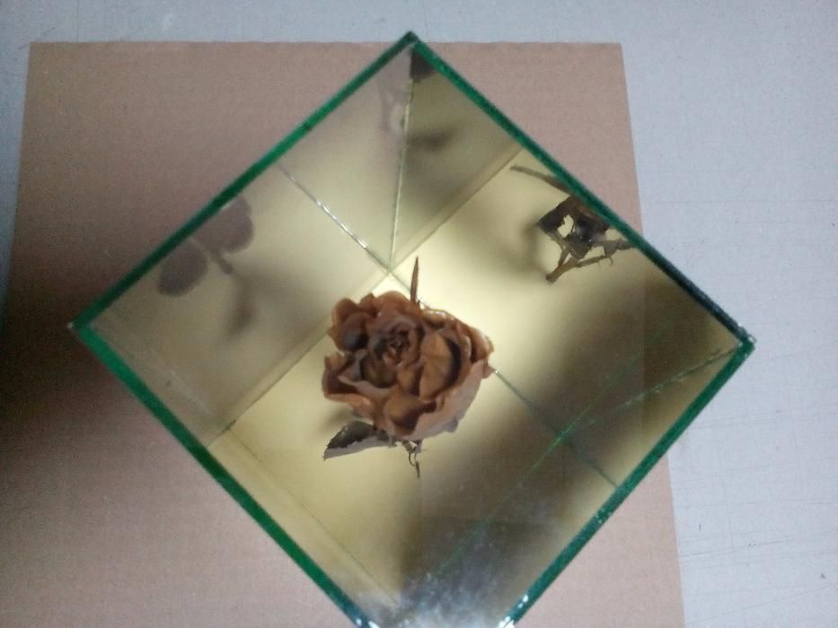 Роза за свети валентин или 8 март