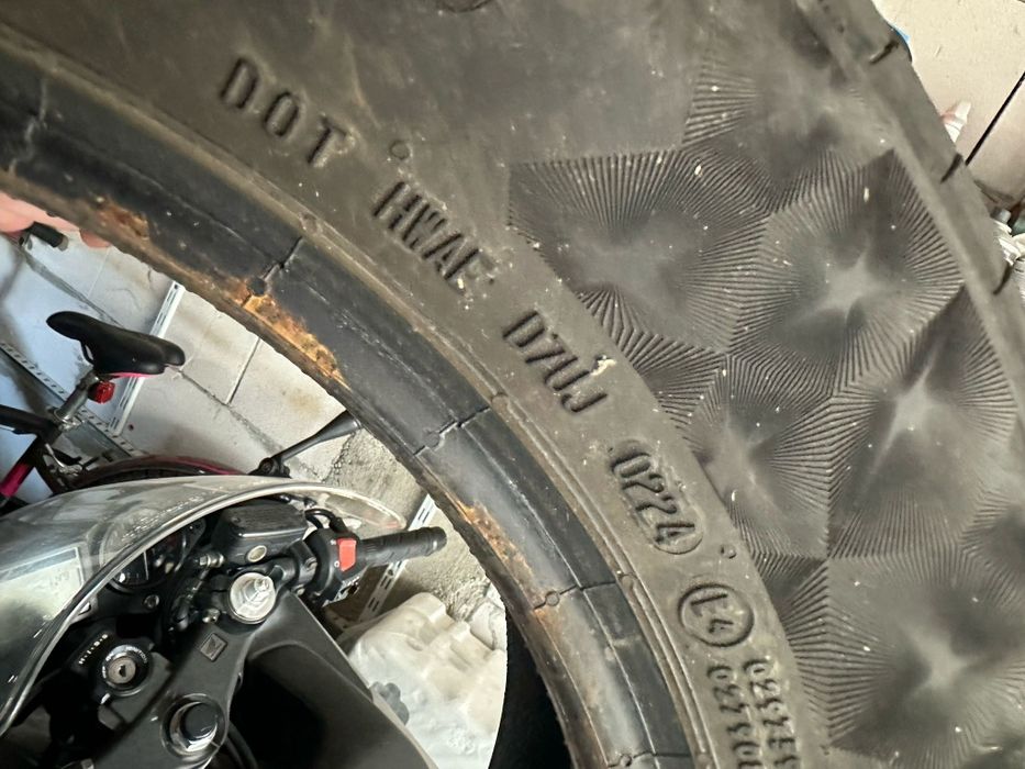 Cauciucuri vara Logan