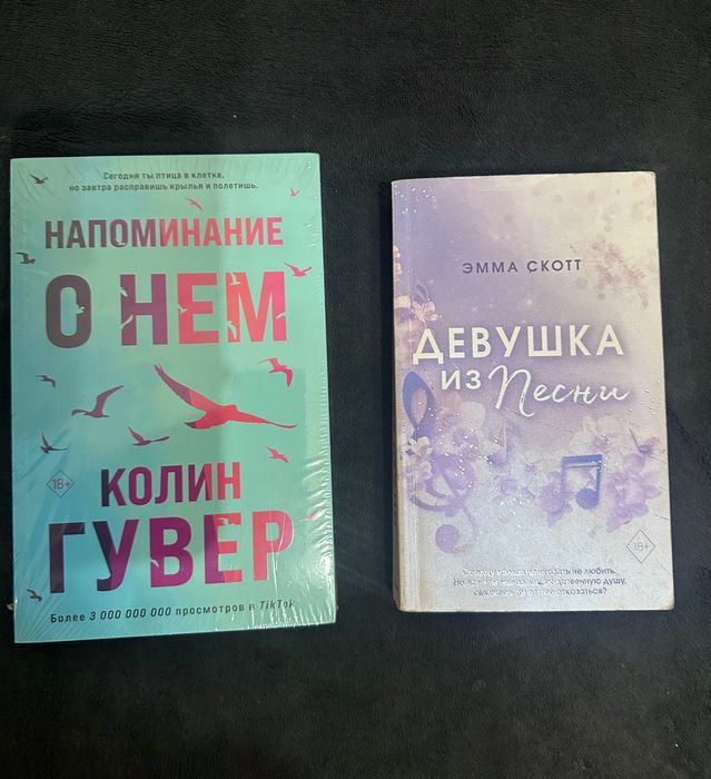 Книги Напоминание о нём, Девушка из песни