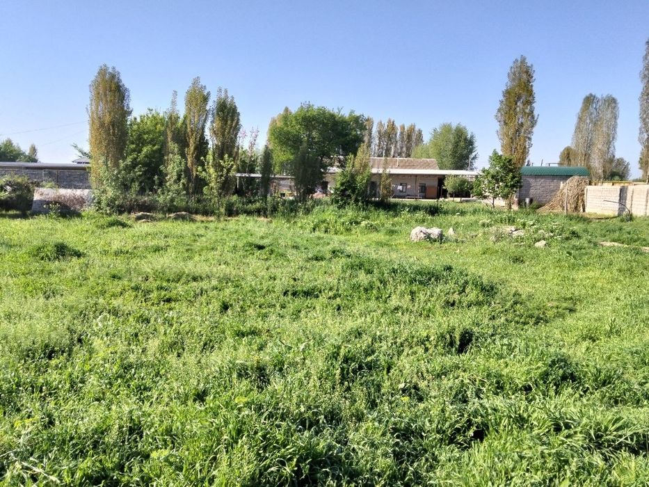 Участка сотилади 4 сотих