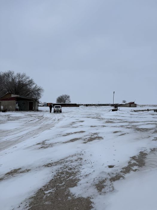 Продам ферму (фазенду)