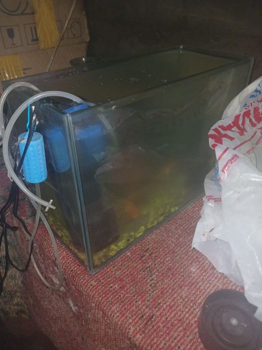 Продам аквариум , аквариум сатылады