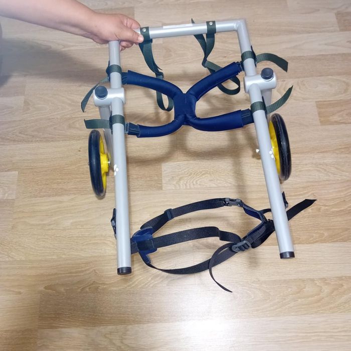 Инвалидна количка за куче