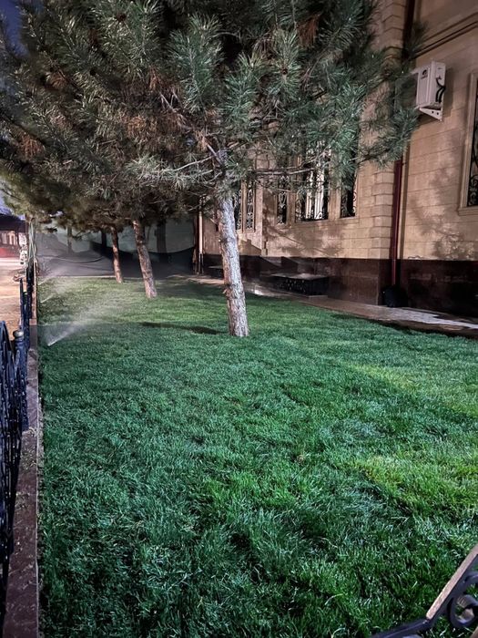 Gazon yotqizish optom narxlarda lyuboy kolichestva