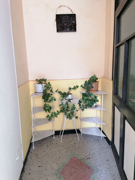 Дава се под наем Етаж от къща в Асеновград - 90 кв.м за 229.5 € - Снимка #4