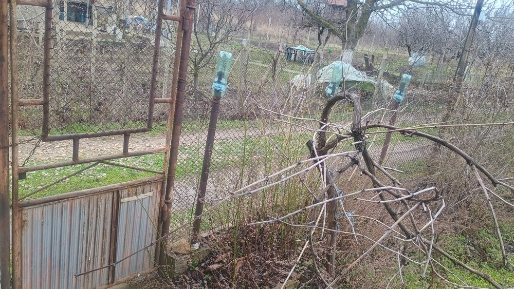 ВИЛА  с   Двор  1  Декър