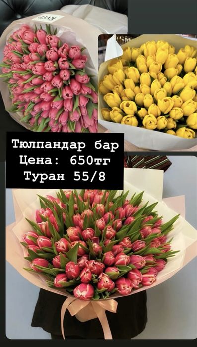 Тюльпаны есть Астана