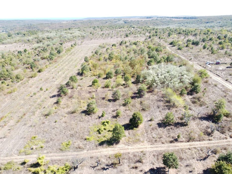 Продава се Парцел в с. Приселци, Област Варна - 11399 кв.м за 7 €/кв.м - Снимка #1