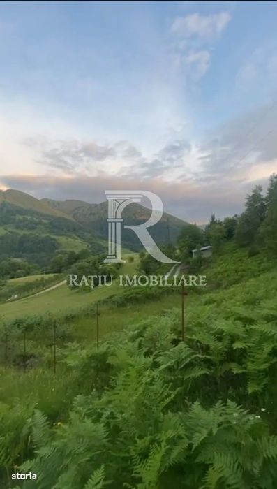 Teren 10.900mp | Panoramă în Apuseni | Remeți -Ideal pentru Investitii