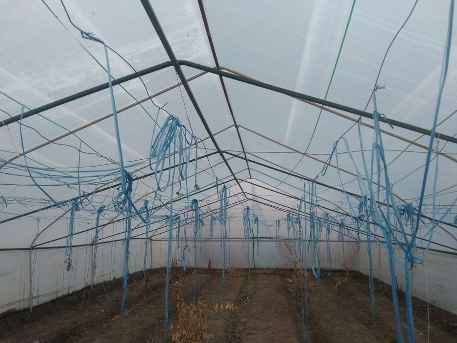 Парник сотилади.