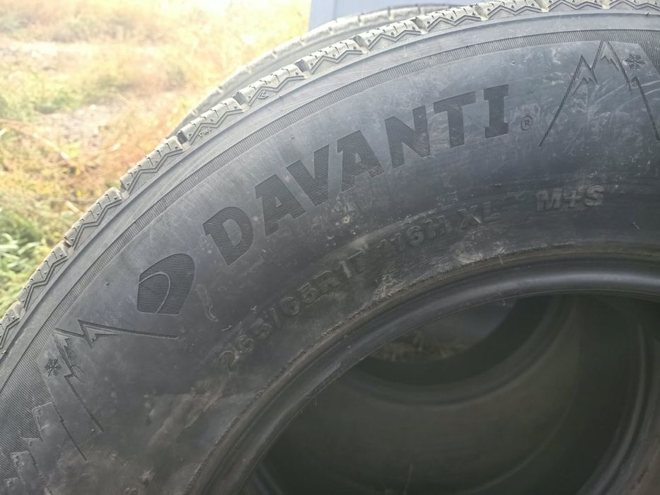 Зимние Шины Davanti R17