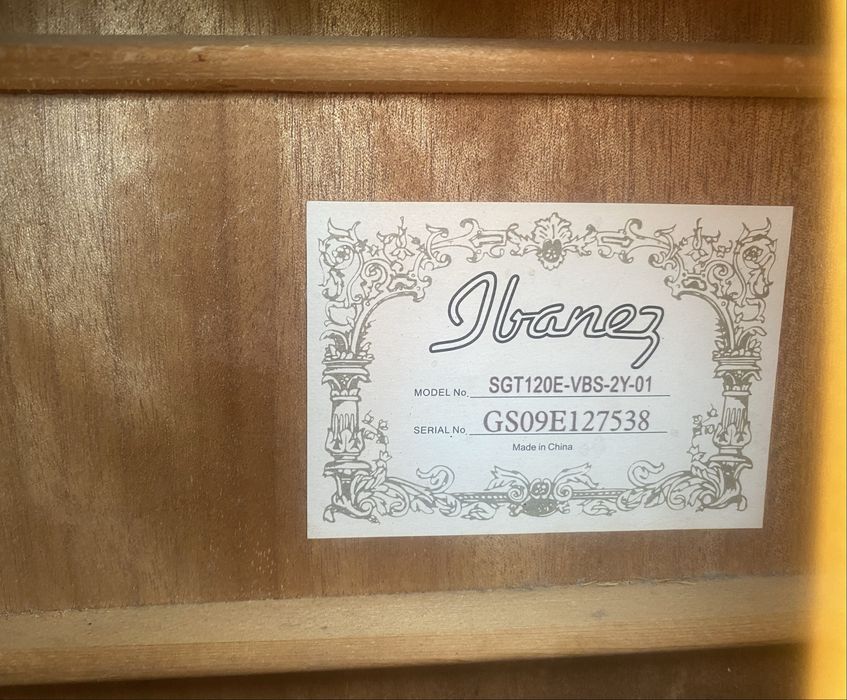 Ibanez SGT120E.